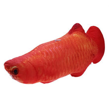 Load image into Gallery viewer, Cat Toys Chewing Fish Toy Simulation Stuffed Fish with Catnip Pet Interactive Gift for Cat Kitten  Dropshipping