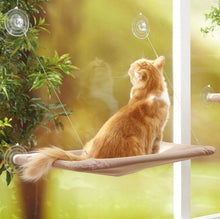 Load image into Gallery viewer, Cute Pet Hanging Beds Bearing 20kg Cat Sunny Seat Window Mount Pet Cat Hammock Comfortable Cat Pet Bed