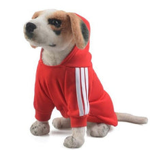 Load image into Gallery viewer, Pet dog clothes cotton hooded shirt pet jacket pet supplies