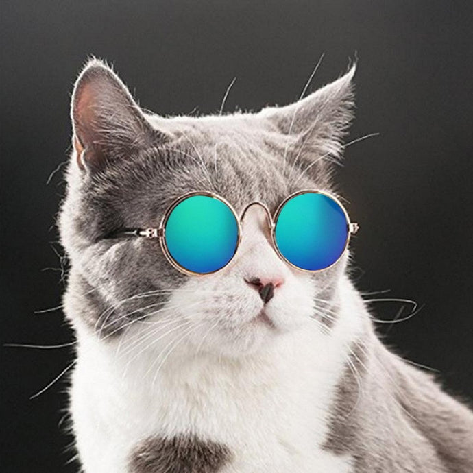 Pet Cat Dog Glasses Pet Supplies Sunglasses