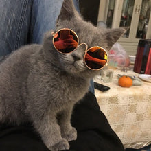 Load image into Gallery viewer, Pet Cat Dog Glasses Pet Supplies Sunglasses